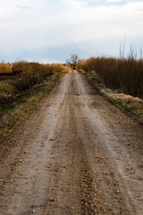 Country Road with perspective