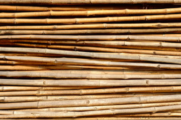Bamboos Background.