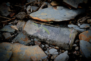 La vie reprend ses droits Guerlédan 2015