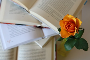 Otwarte książki i pomarańczowa róża - obrazy, fototapety, plakaty