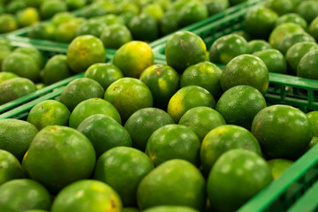 Bunch of fresh green mandarin in the organic food market. Tropical Bali island, Indonesia.