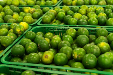 Bunch of fresh green mandarin in the organic food market. Tropical Bali island, Indonesia.