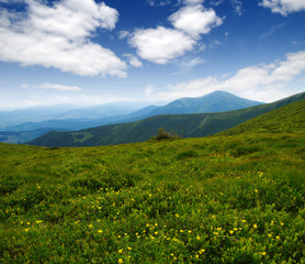 Mountain landscape in summer