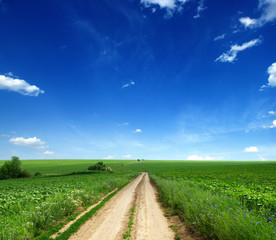 road in field