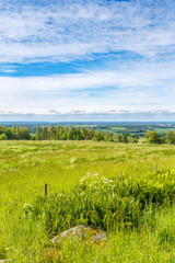 Fototapeta na wymiar Summer meadow with a beautiful view of the countryside