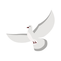 White dove flat icon