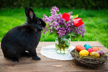 Spring flowers with Easter eggs and rabbit