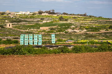 Crates of vegetables in Malta. Maltese countryside