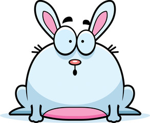 Surprised Little Rabbit