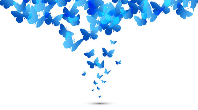 farfalle, silhouette, sagome, volare, leggerezza, volo