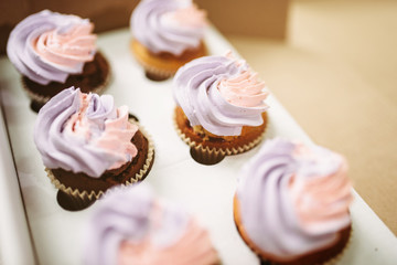 Cakes with biscuit cream on parchment paper sheet