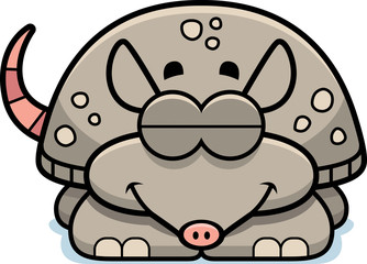 Sleeping Little Armadillo