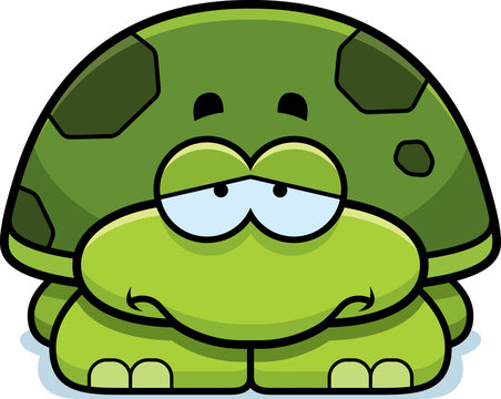 Sad Little Turtle