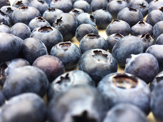 Blueberries 