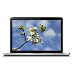 Laptop with apple blossoms wallpaper