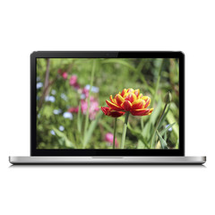 Laptop with tulip on screen