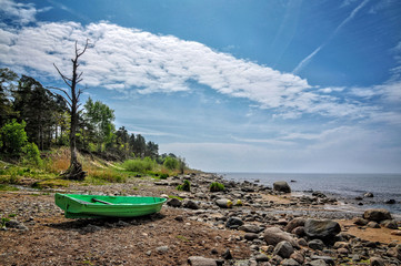 Withered tree and boat on stony beach.
