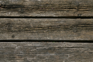 Obraz premium wood background 2