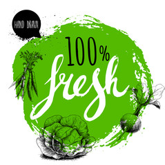 Farmer 100% fresh veggies design template. Green rough circle with hand painted letters. Engraving sketch style vegetables. Carrot bunch, beet root with leafs and cabbage. Hand drawn design.