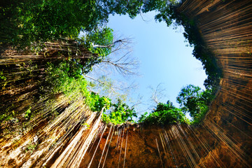 Bottom view of Ik-Kil cenote with hanging roots