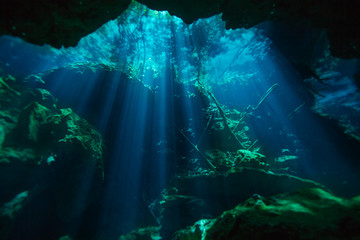 Beautiful underwater world of Azul cenote