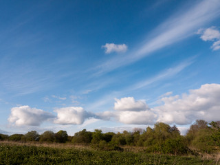 Obraz premium a landscape white clouds and streaks in a blue sky during the day at sunset with foliage trees plants and forest land underneath no people