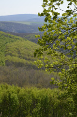 aussicht von der ruine moschellandsburg