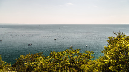 summer in the bay of Trieste