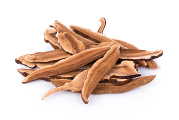Ganoderma Lucidum isolated on white background