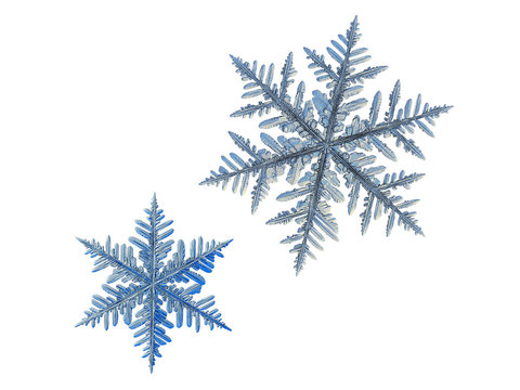 Two snowflakes, isolated on white background. This set composed from photos of real snow crystals: very big stellar dendrites with six long, elegant arms with many side branches and complex shape.