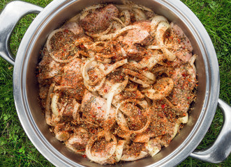 Pork meat cut into barbecue skewers in spices and onions