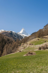 Fototapeta premium Zermatt, Dorf, Zmutt, Furi, Blatten, zum See, Wanderweg, Frühlingswanderung, Alpen, Matterhorn, Frühling, Wallis, Schweiz