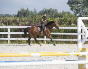 Woman Riding a Horse in Jumper Ring