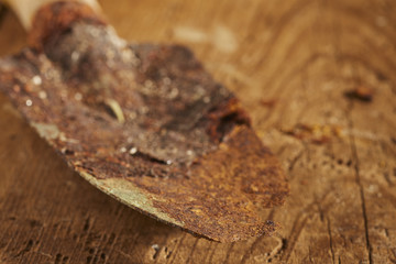 old, rusty garden trowel