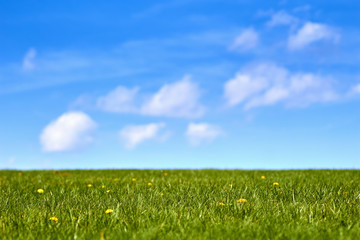 Empty grass lawn, York County, Pennsylvania, USA