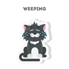 Isolated crying cat sits on white background.