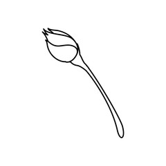 Beautiful flower ornament icon vector illustration graphic design