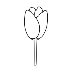 Beautiful flower ornament icon vector illustration graphic design