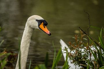 Colne Valley Regional Park