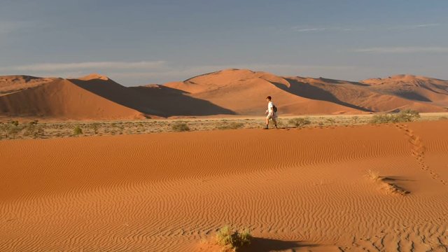 Tourist walking on the scenic dunes of Sossusvlei, Namib desert, Namib Naukluft National Park, Namibia. Afternoon light. Adventure and exploration in Africa.
