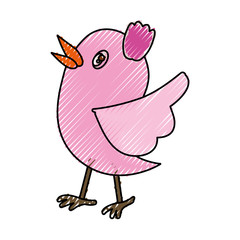 Bird cute cartoon icon vector illustration graphic design