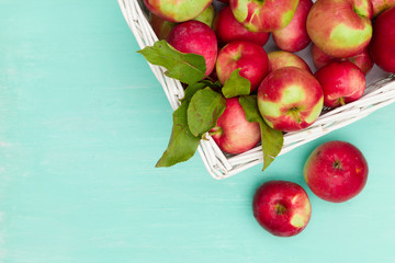 Top view on white basket full of fresh red organic apples on turquoise background. Autumn Harvest. Healthy snack.