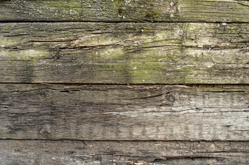 Fototapeta premium Wood background texture. Old wooden fence background.