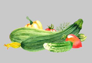 Isolated watercolor vegetables on grey background