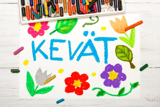 Colorful drawing: Finnish word Kevät (Spring) and beautiful flower