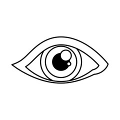 Human eye symbol icon vector illustration graphic design