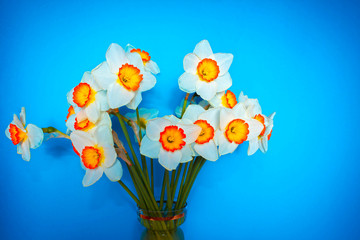 The white narcissus. Spring Flower. Bouquet of narcissus in a vase.