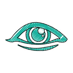Human eye symbol icon vector illustration graphic design