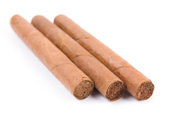 Cuban cigars on a white background