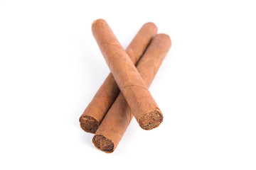Cuban cigars on a white background